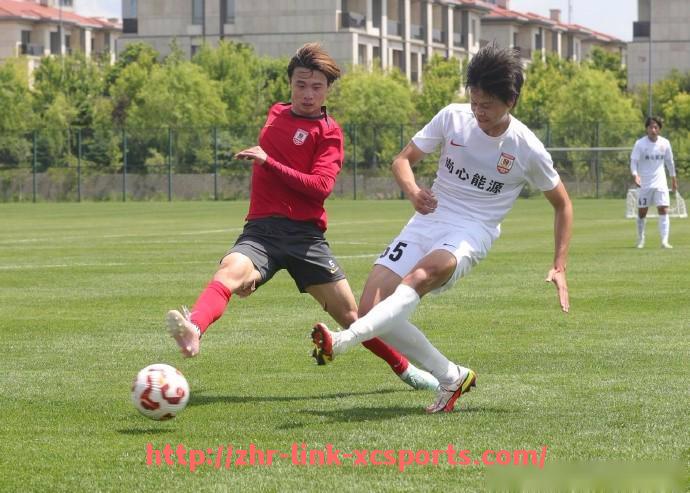 杏彩体育-法甲联赛品牌宣传策略及市场影响力