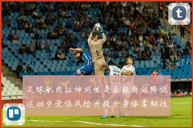 足球肌肉拉伸训练是否能有效降低运动中受伤风险并提升身体柔韧性