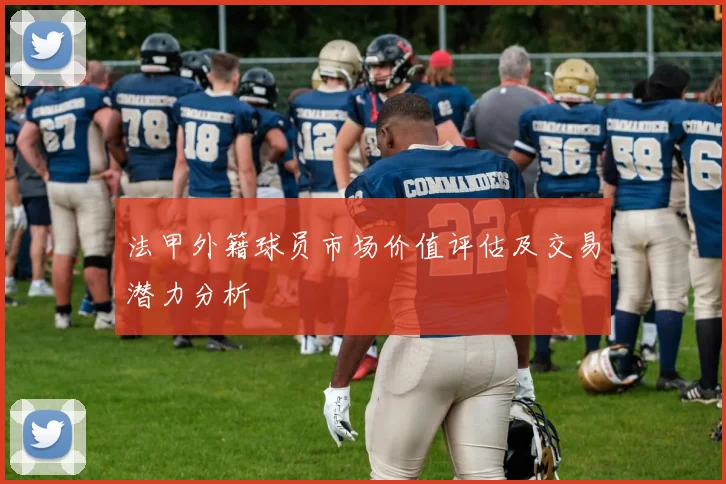 法甲外籍球员市场价值评估及交易潜力分析