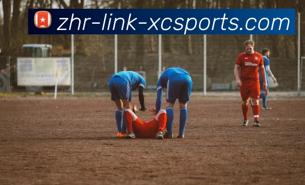 App Interface Preview