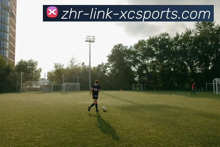 杏彩体育APP 封面图